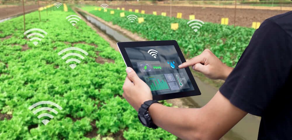 هوشمند سازی