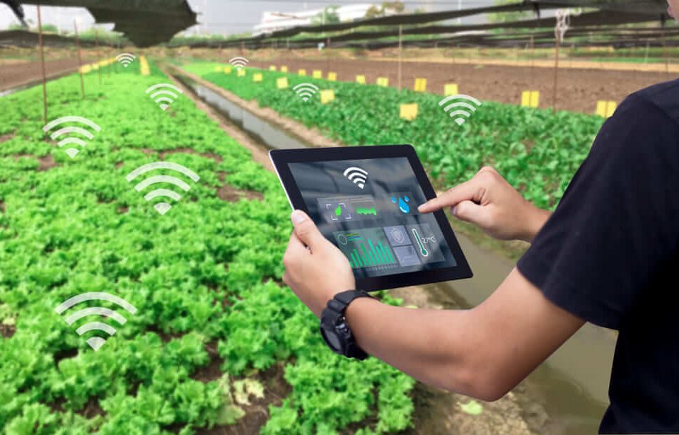 هوشمند سازی